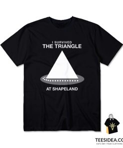 I Survived The Triangle At Shapeland T-Shirt
